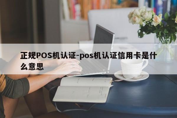 昭化正规POS机认证-pos机认证信用卡是什么意思